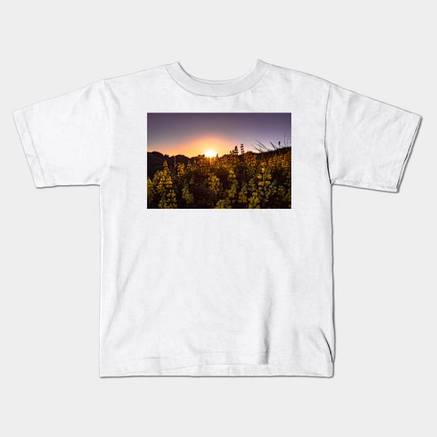 Sunlight shining through lupine Kids T-Shirt by blossomcophoto